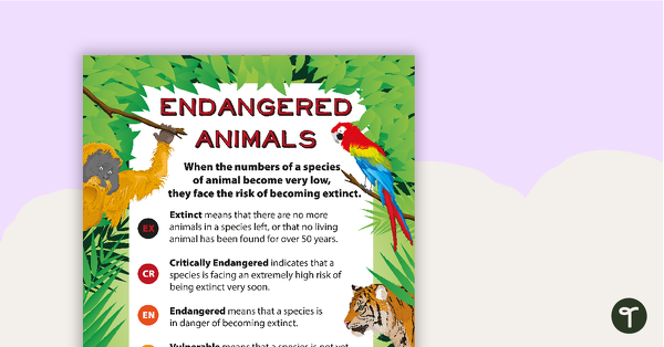 Go to Endangered Animals Classification Poster teaching resource