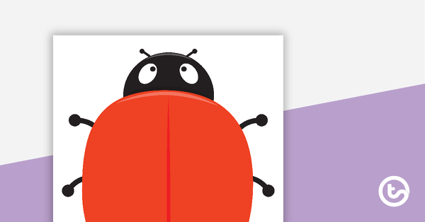 Go to Ladybug Addition and Subtraction Activity teaching resource