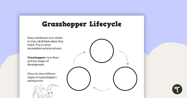 Go to Grasshopper Life Cycle - Blank Template teaching resource