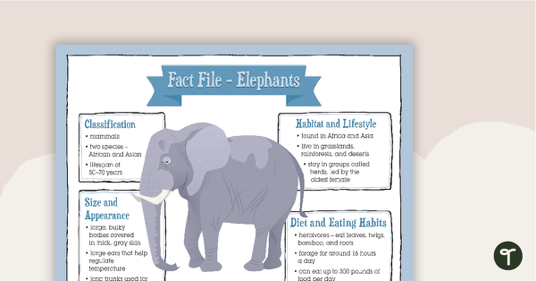 Go to Elephant Fact File and Report Writing Scaffold teaching resource