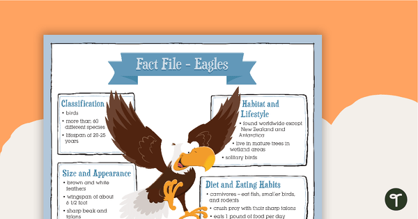 Go to Eagles Fact File and Report Writing Scaffold teaching resource