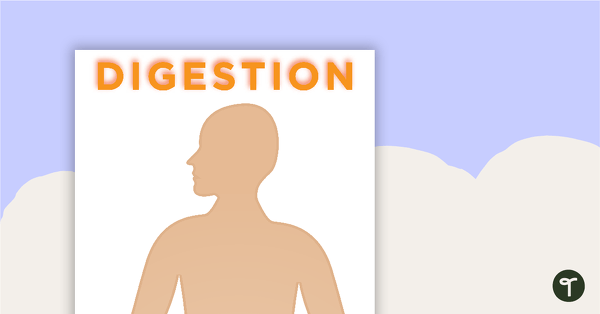 Go to The Digestive System Match-Up Activity teaching resource