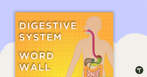 Go to Digestive System Word Wall Vocabulary teaching resource