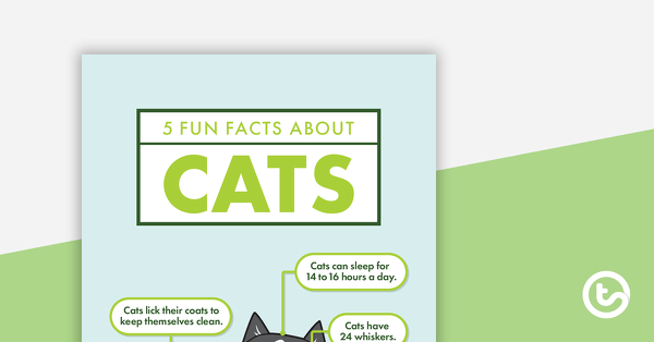 Go to 5 Fun Facts About Cats - Read and Respond Worksheet teaching resource