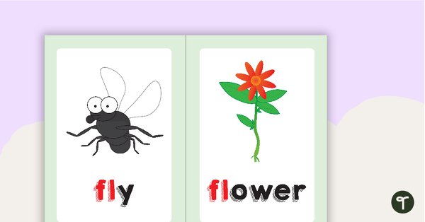 Go to Fl Blend Flashcards teaching resource