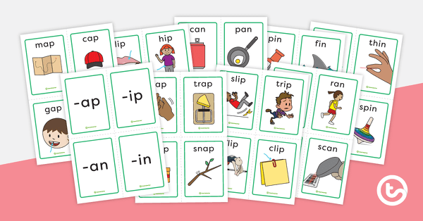 Go to Word Family Sorting Cards teaching resource