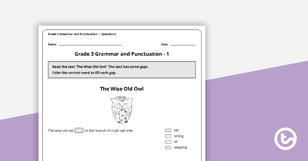 Grammar and Punctuation Assessment Tool - Grade 3 teaching-resource