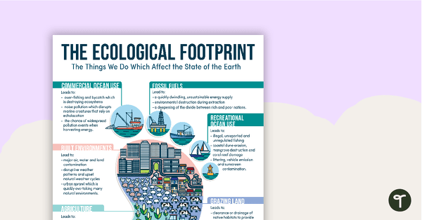 Go to The Ecological Footprint Poster teaching resource