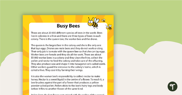 Go to Comprehension - Busy Bees teaching resource