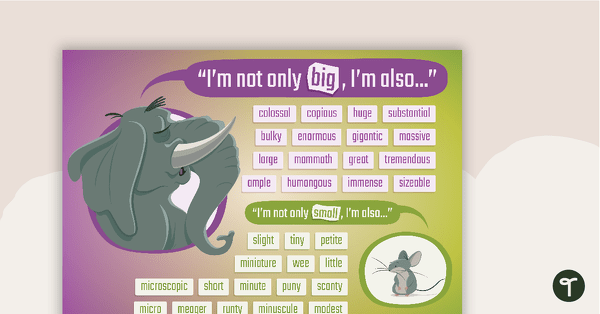 Go to Big and Small Synonyms Poster teaching resource