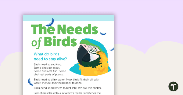 Go to The Needs of Birds – Worksheet teaching resource