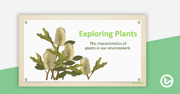 Go to Exploring Plants PowerPoint teaching resource