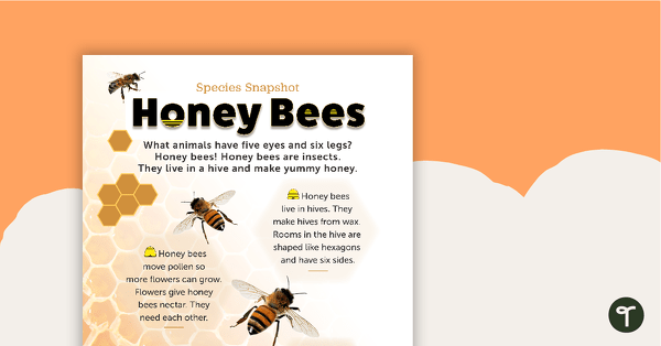 Go to Species Snapshot Worksheet - Honey Bees teaching resource