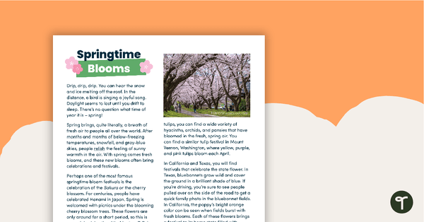 Go to Springtime Blooms – Comprehension Task teaching resource