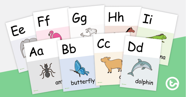 Go to Animal Alphabet Display teaching resource