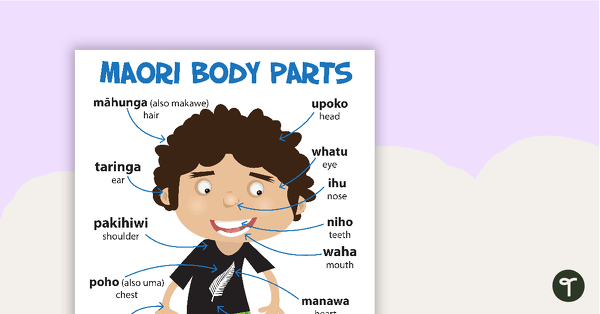 Go to Body Parts in Maori Poster teaching resource