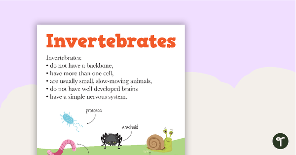 Go to Vertebrates and Invertebrates Posters teaching resource