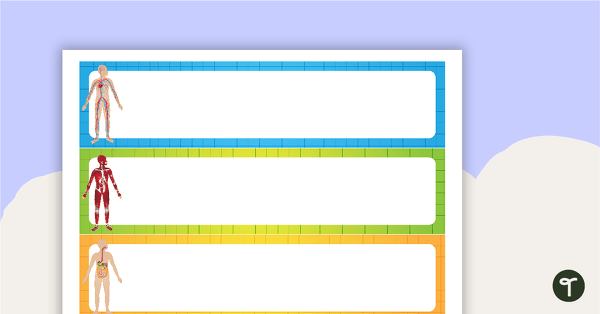 Go to Human Body - Tray Labels teaching resource