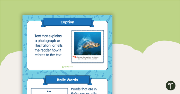 Go to Text Features Flashcards teaching resource