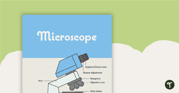 Go to Microscope Poster – Diagram with Labels teaching resource