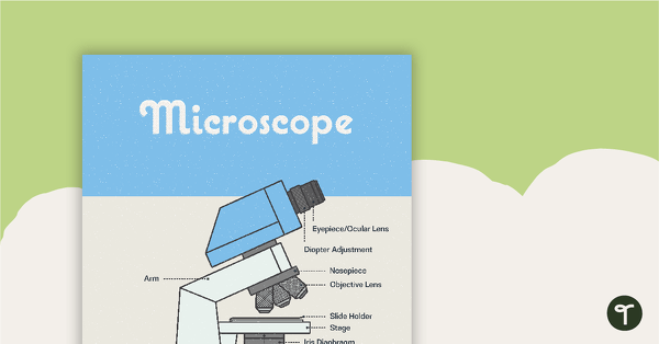 Go to Microscope Poster - Diagram with Labels teaching resource