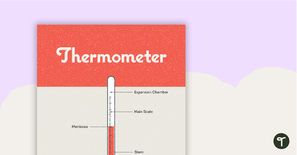 Go to Thermometer Poster – Diagram with Labels teaching resource