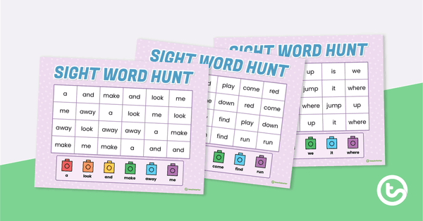 Go to Sight Word Hunt - Dolch Pre-Primer teaching resource