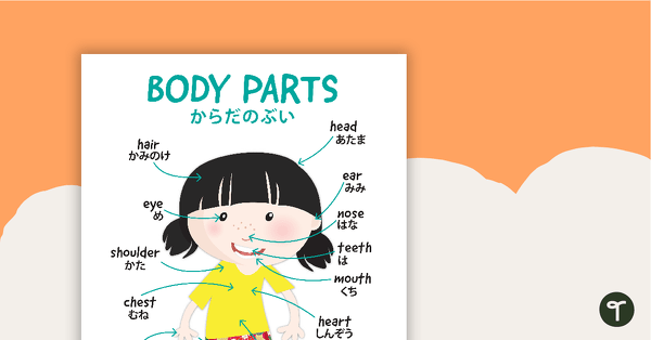 Go to Hiragana Body Parts Poster teaching resource