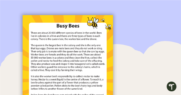 Go to Year 5 Reading Worksheets - The Business of Bees teaching resource