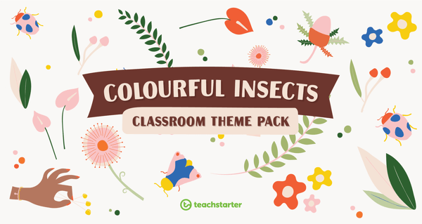 Go to Colourful Insects Classroom Theme Pack resource pack