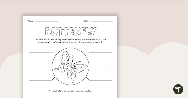 Go to Minibeast Adjectives Worksheet teaching resource