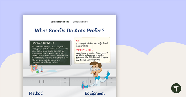 Go to Science Experiment - What Snacks Do Ants Prefer? teaching resource