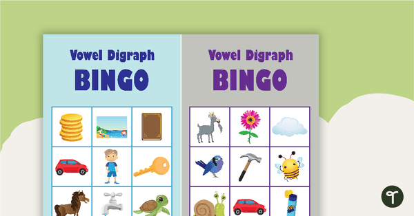 Go to Vowel Digraph Bingo teaching resource