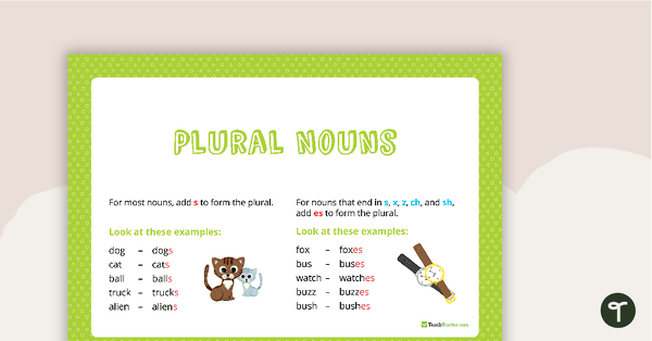 Go to Plural Rules Poster Pack teaching resource