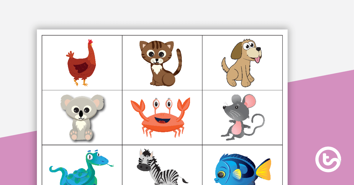 Animal Memory Game teaching-resource