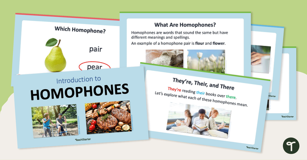 Go to Introduction to Homophones Teaching Slides teaching resource