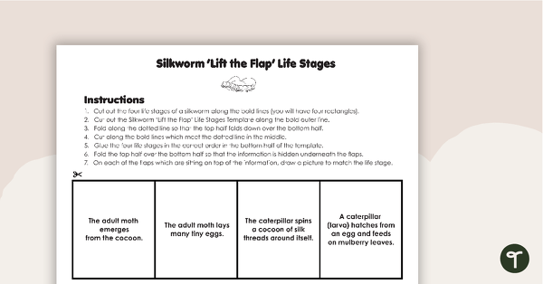 Go to Silkworm 'Lift the Flap' Life Stages Template teaching resource