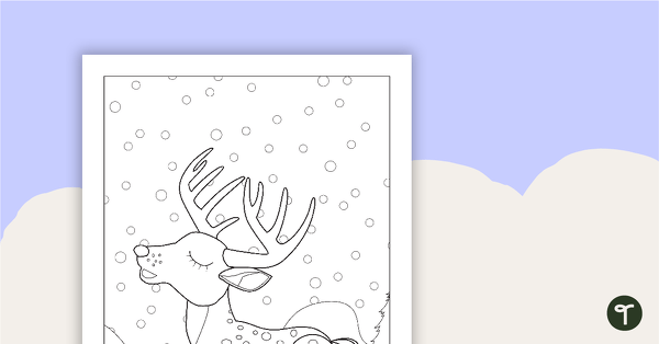 Go to Christmas Colouring In - Reindeer Colouring Page teaching resource