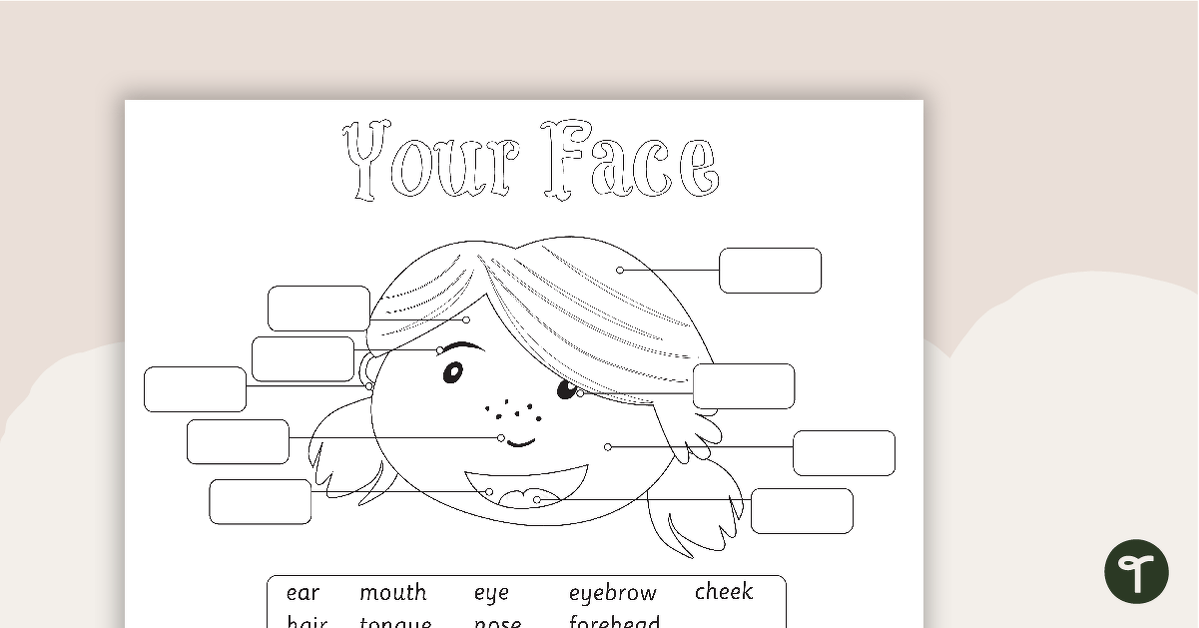 Free Parts of the Face Worksheet teaching-resource